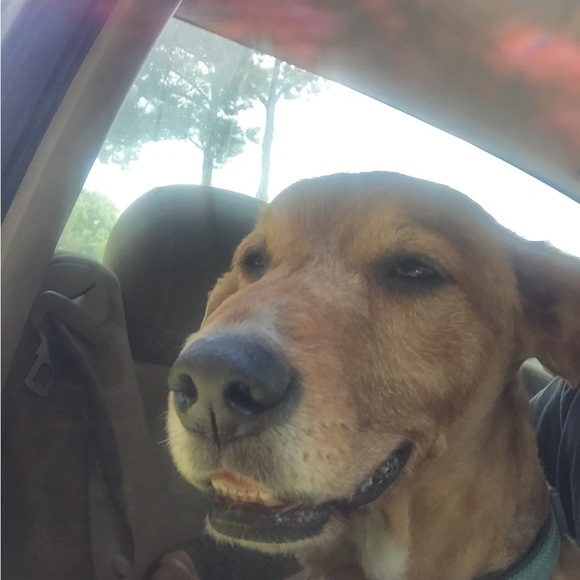 Meet your Posher, Merry - Picture 2 of 2